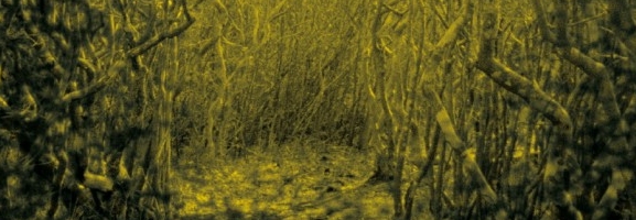 The Antlers - Burst Apart