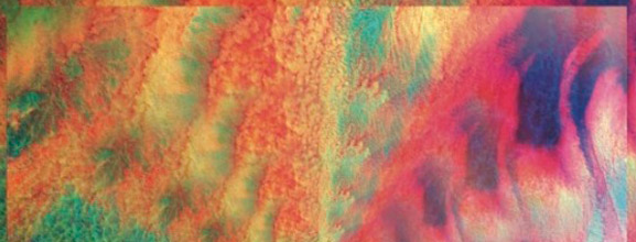 Tropics - Parodia Flare