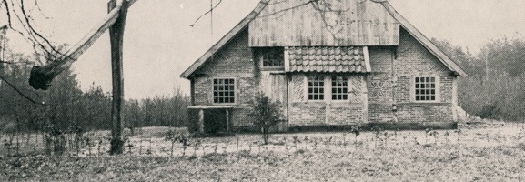 Veronica Falls - Veronica Falls