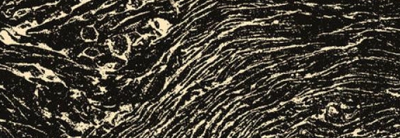 John Talabot - Fin