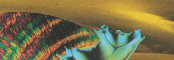 Django Django – Django Django