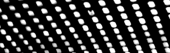 Beach House - Bloom