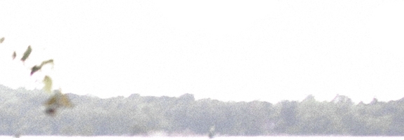The Tallest Man On Earth – There’s No Leaving Now