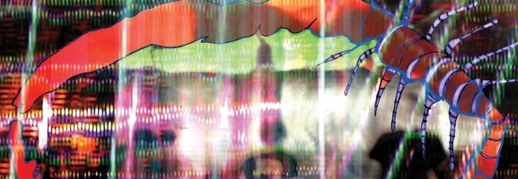 Animal Collective - Centipede Hz
