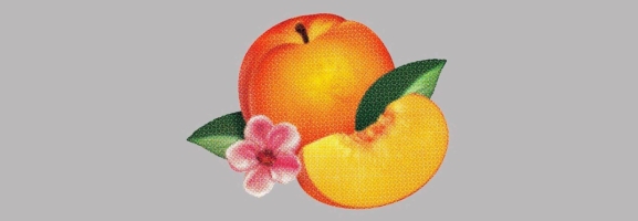 Phoenix - Bankrupt!
