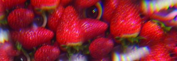Thee Oh Sees – Floating Coffin