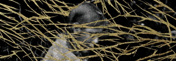 Forest Swords – Engravings
