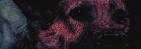Protomartyr - Under Color Of Official Right