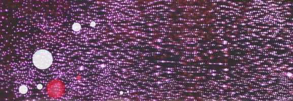 Tokyo Police Club – Forcefield