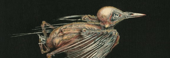 Jenny Hval & Susanna – Meshes Of Voice