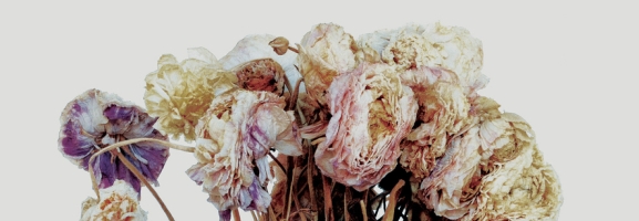 Sleater-Kinney - No Cities To Love