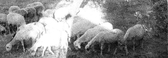 Godspeed You! Black Emperor - 'Asunder, Sweet And Other Distress'