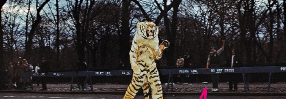American Wrestlers - American Wrestlers