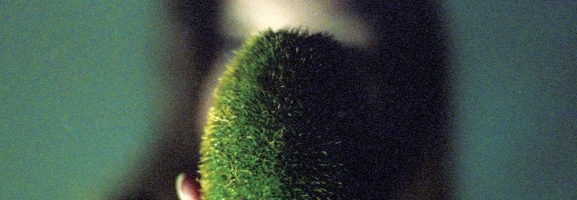 Circuit Des Yeux – In Plain Speech