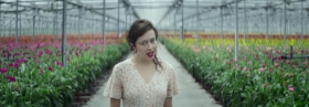 Musik ins Auge – Der Musikvideo-Roundup (Juni I)
