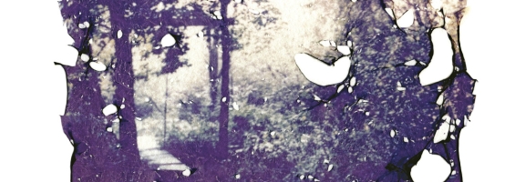 Sarah Kirkland Snider - Unremembered