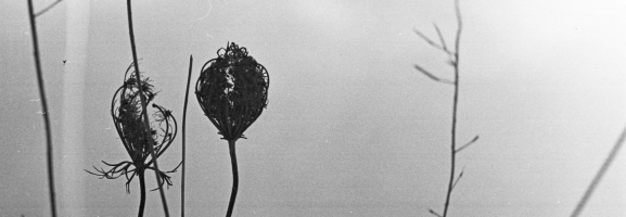 Recondite - Placid