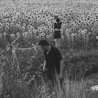 Jesu & Sun Kil Moon – Jesu/Sun Kil Moon