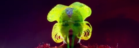 Musik ins Auge – Der Musikvideo-Roundup (Juni II)