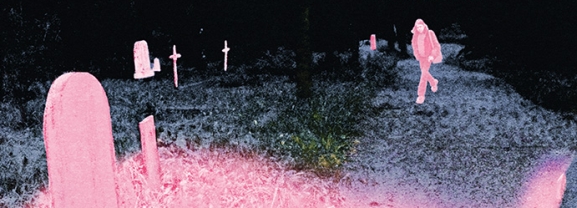 Ariel Pink – Dedicated To Bobby Jameson