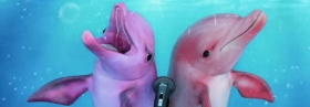 Musik ins Auge – Der Musikvideo-Roundup (August II)