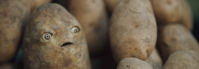Musik ins Auge – Der Musikvideo-Roundup (April II)