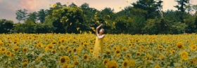 Musik ins Auge – Der Musikvideo-Roundup (September II)