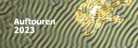 AUFTOUREN 2023 – Die Musikvideos des Jahres