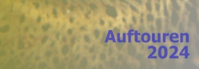 AUFTOUREN 2024 – Das Jahr in Tönen